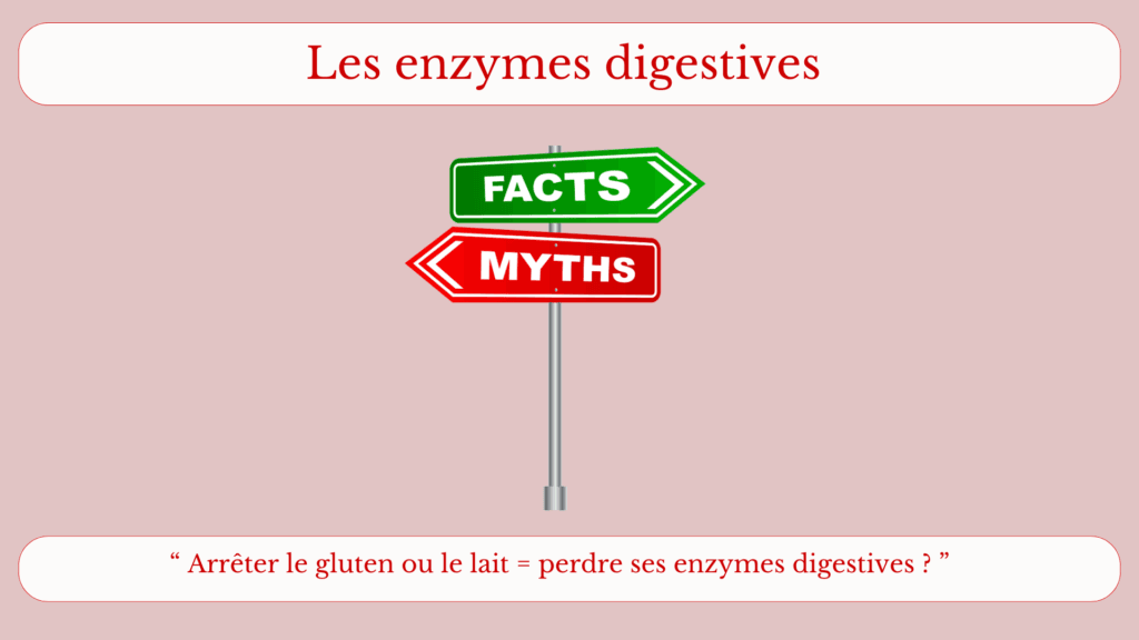 Lire la suite à propos de l’article Arrêter le gluten ou le lait fait-il vraiment « perdre » les enzymes digestives ?